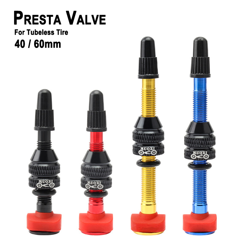 Mountain Biking In French - MTB Mountain Bike Presta Valve Tubeless