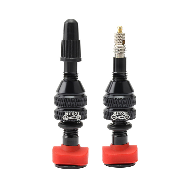 MTB Mountain Bike Presta Valve - Mountain Biking In French recensione e prezzo