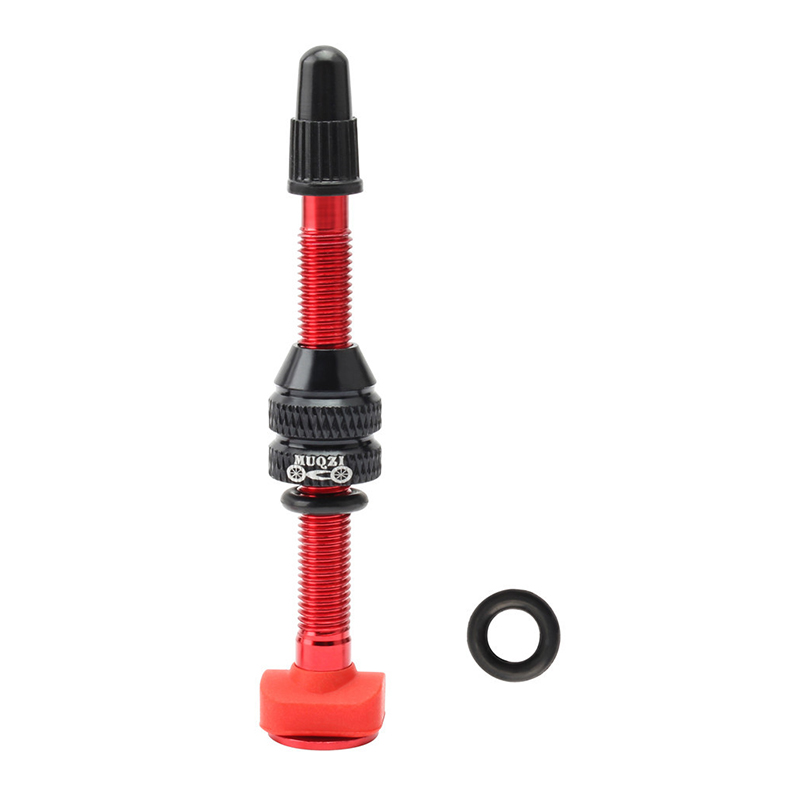 MTB Mountain Bike Presta Valve - Mountain Biking In French recensione e prezzo