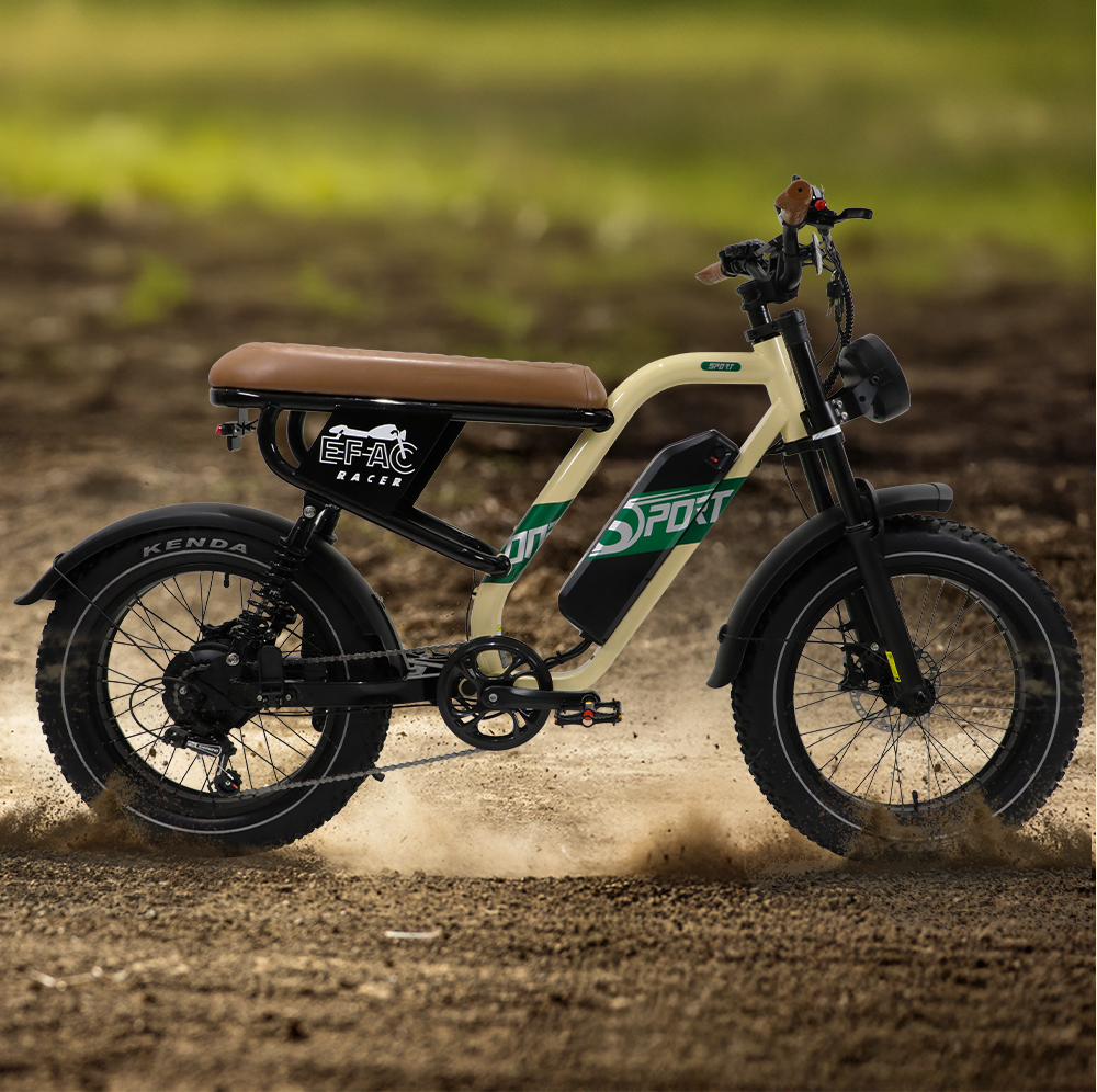 STLF Customizable Retro Electr - Mountain Biking Uk recensione e prezzo