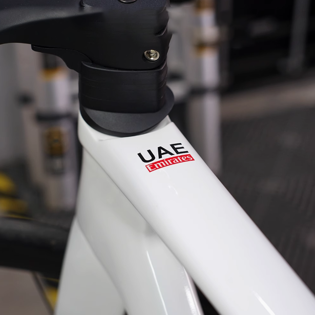 2pcs UAE Emirates Bike Frame V - Mountain Biking Uae recensione e prezzo