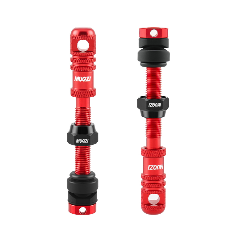 Alloy Bike Tubeless Presta Val - Mountain Biking In French recensione e prezzo