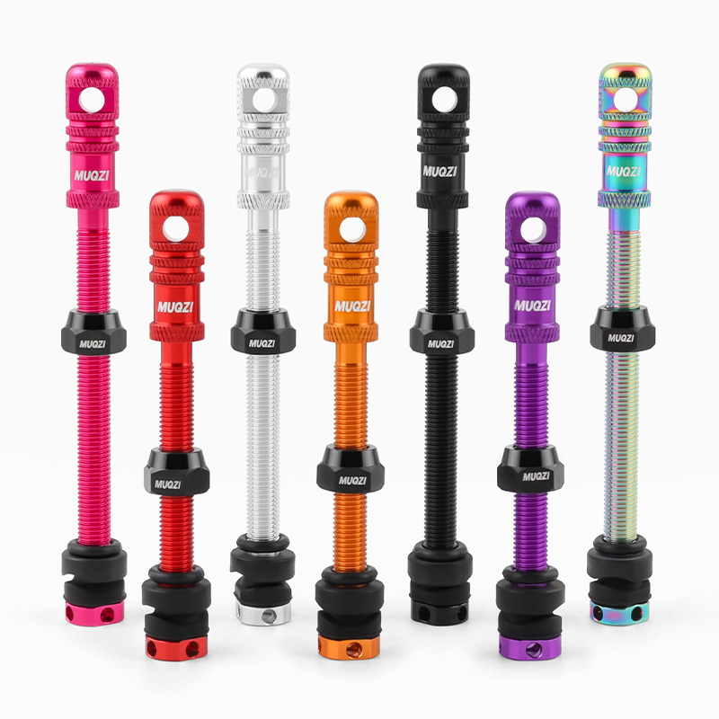 Alloy Bike Tubeless Presta Val - Mountain Biking In French recensione e prezzo